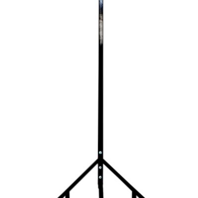 Pair of pole with car