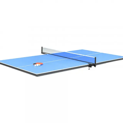 Outdoor Board Kit With Stand And Net, For Table Tennis